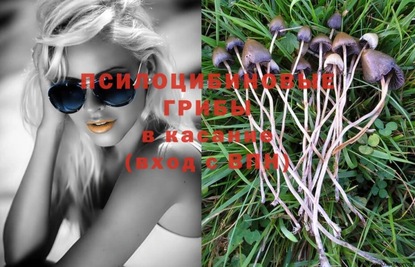 a pvp Армянск