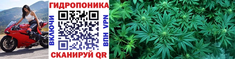 где можно купить наркотик  Светлый  это клад  Каннабис марихуана 